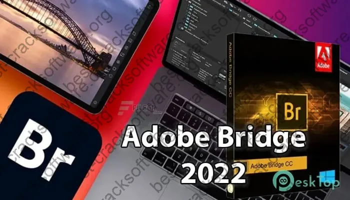 Adobe Bridge 2024 Crack